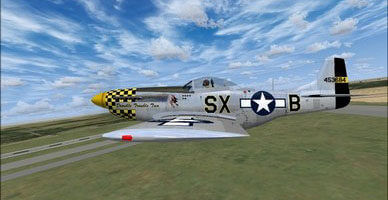 Wings of Power P-51D Left Wing Camera View